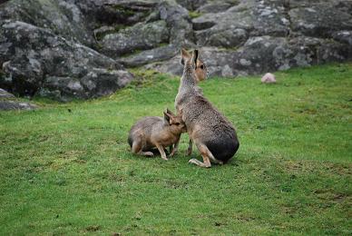 gallery_2529_1143_63933.jpg