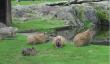 tn_gallery_2529_1143_66773.jpg