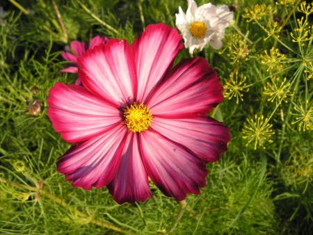 gallery_9935_4991_11623.jpg