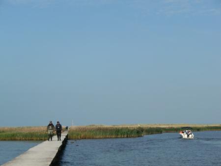 gallery_12789_4992_18403.jpg