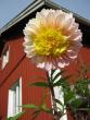 tn_gallery_2529_1142_18564.jpg