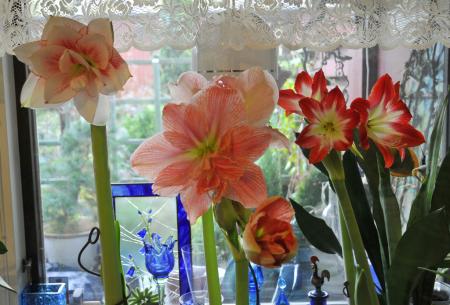 gallery_24_4605_144565.jpg
