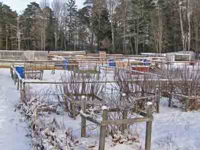 gallery_75437_5074_5956.jpg