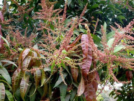gallery_22570_4214_81710.jpg