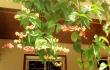 tn_gallery_22570_4214_4744.jpg