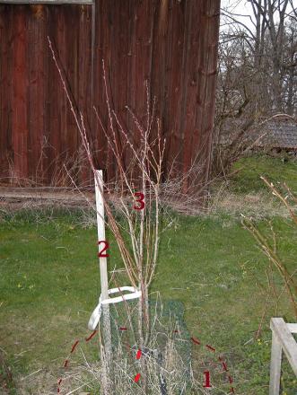 gallery_126_5105_111609.jpg
