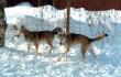 tn_gallery_2892_4431_12563.jpg