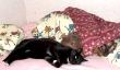tn_gallery_2892_4431_42437.jpg