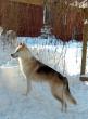 tn_gallery_2892_4431_85061.jpg
