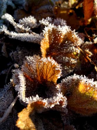 gallery_71323_5141_38124.jpg