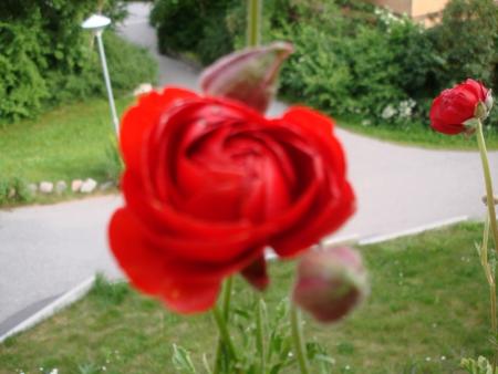 gallery_8559_3751_97186.jpg