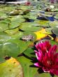 tn_gallery_941_5146_104445.jpg