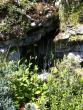 tn_gallery_941_5146_12426.jpg