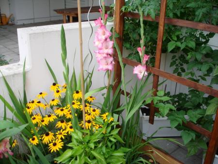 gallery_8559_5069_220685.jpg