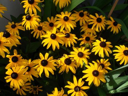 gallery_8559_5069_320572.jpg