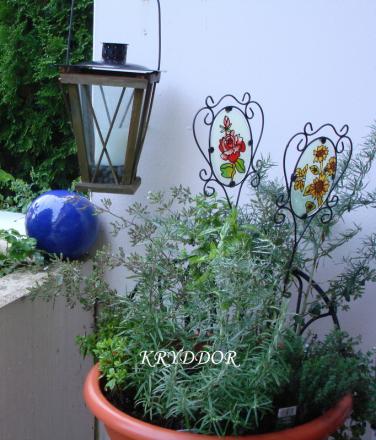 gallery_8559_5153_282122.jpg