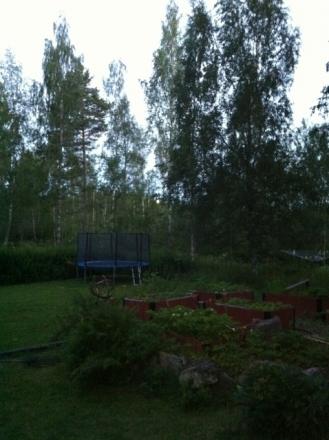 gallery_941_1832_104747.jpg