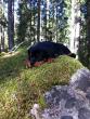tn_gallery_941_1832_15697.jpg