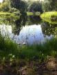 tn_gallery_941_1832_223843.jpg