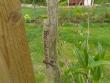 tn_gallery_9372_5163_42186.jpg