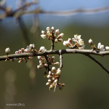 gallery_26356_5184_284172.jpg