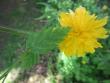 tn_gallery_8790_3821_7956.jpg