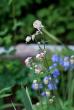 tn_gallery_41378_41_133189.jpg