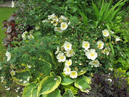 gallery_276_1640_23085.jpg