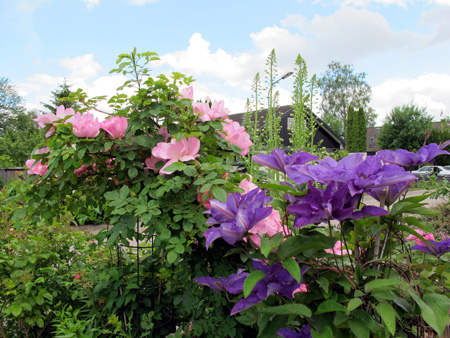 gallery_276_1651_16624.jpg