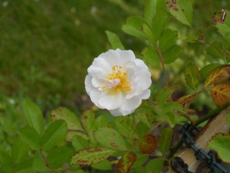 gallery_20295_3065_39944.jpg