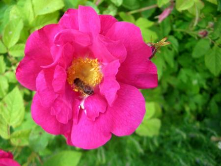 gallery_2991_5167_131164.jpg