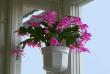 tn_gallery_33889_4583_96764.jpg