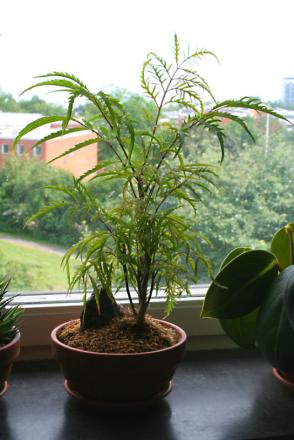 gallery_33889_4583_314110.jpg