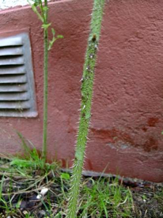 gallery_76664_5283_102169.jpg