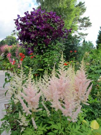 gallery_276_1322_62414.jpg