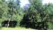 tn_gallery_126_5323_340932.jpg