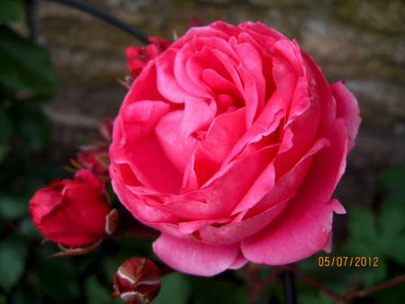 gallery_71323_5141_29870.jpg