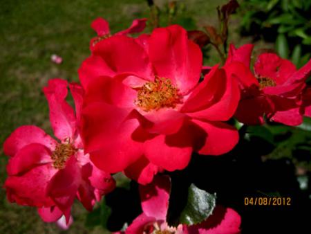 gallery_71323_5141_49955.jpg