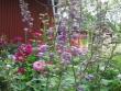 tn_gallery_9159_3724_11989.jpg