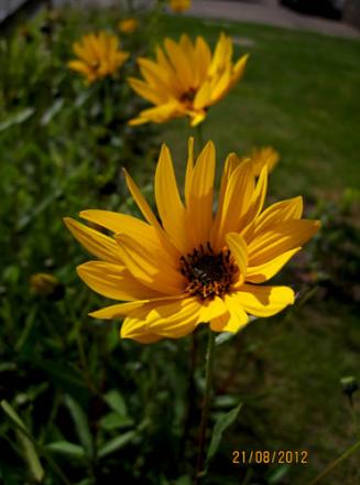 gallery_71323_5141_33500.jpg