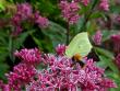 tn_gallery_71323_5141_25753.jpg