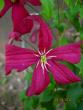 tn_gallery_71323_5141_36464.jpg