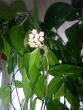tn_gallery_6231_66_75474.jpg