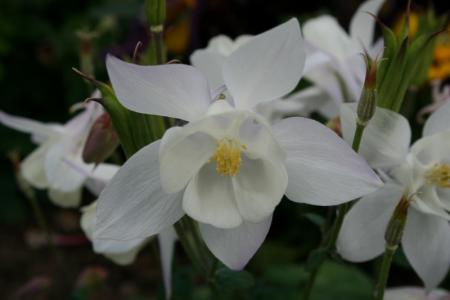 gallery_25530_5356_3296.jpg