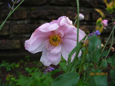 gallery_71323_5141_49514.jpg