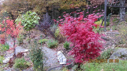 gallery_25508_3797_13646.jpg