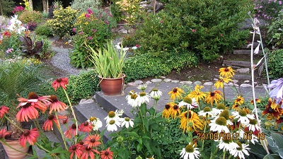 gallery_25508_3797_63897.jpg