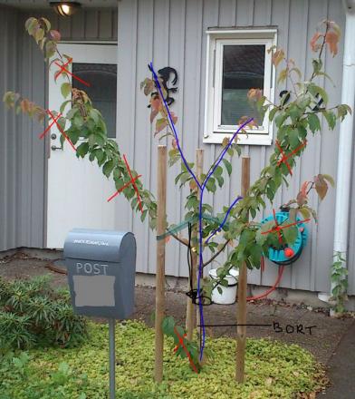 gallery_126_5105_105540.jpg