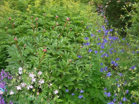 gallery_1028_4204_130500.jpg