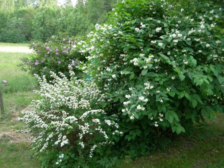 gallery_1028_4204_318717.jpg